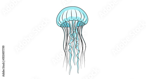 Minimalist vector illustration of a jellyfish with blue accents