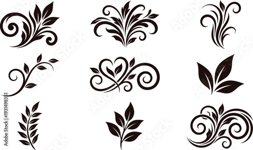 Elegant floral leaf swirl designs on clean white background