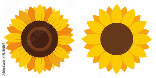 Two yellow sunflower blossoms in flat vector style for summer and nature design