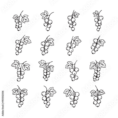 Black Currant Berries with Leaves Pattern Simple Line Art Isolated on White Stock Graphics