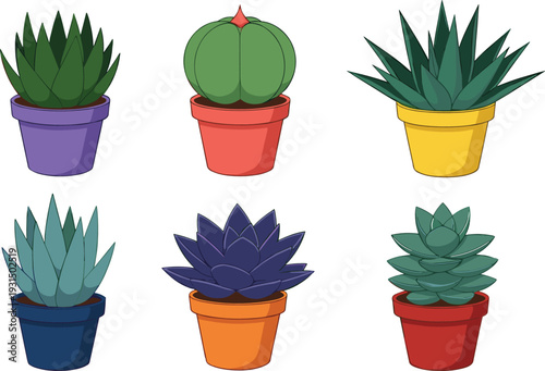 Succulent and Cactus Plants in Colorful Pots Collection Decorative Indoor Houseplants Vector Illustration Set for Home Garden Design