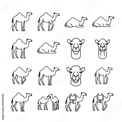 Camel Icon Set: Dromedary Bactrian Sitting Standing Heads Stock Graphics