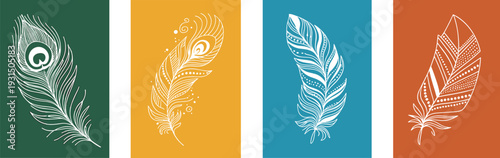 Four colorful peacock feathers with white outlines on different background colors green background yellow background