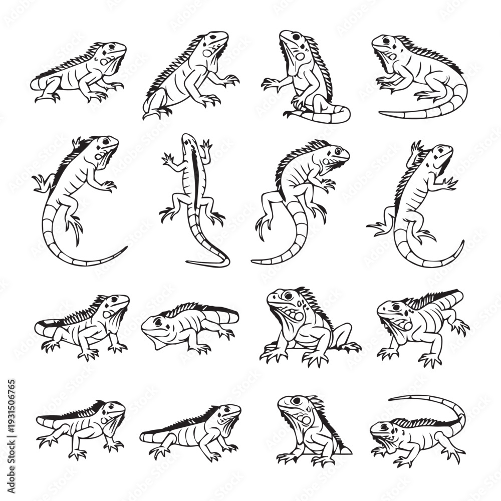 Fototapeta premium Collection of Iguana Illustrations in Various Poses Line Art