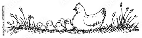Hand drawn sketch of a mother hen sitting with her small chicks in a spring meadow