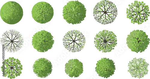 Top view green trees collection with detailed foliage crowns for landscape design and architectural plan illustration