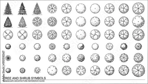 Tree and Shrub Symbols Set for Landscape Architecture Plans, Top View Botanical Drawing Collection, Black and White CAD Style Vegetation Reference Guide