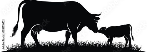 Cow and calf silhouette standing on grass, farm livestock mother and baby cattle illustration isolated on white