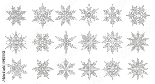 a comprehensive collection of intricate snowflake designs showcasing unique natural ice crystal patterns for winter themes.