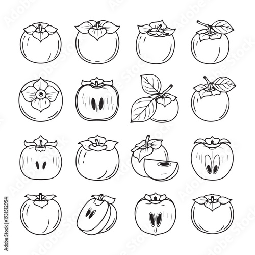 Collection of Persimmon Fruit Icons in Outline Style Full and Sliced