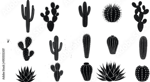 Black cactus silhouette collection featuring various desert plant shapes prickly pear saguaro and succulent icons isolated on white background vector.