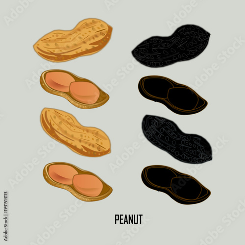 Peanut Silhouette – Groundnut Seed Shape Isolated on White Background.Ideal for logo design, icons, packaging, food labels, agricultural concepts, minimalist graphics, and vector-based projects.