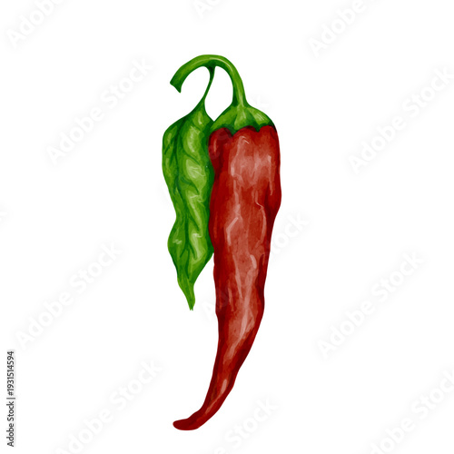 Ripe hot red chili pepper. Vector graphics.