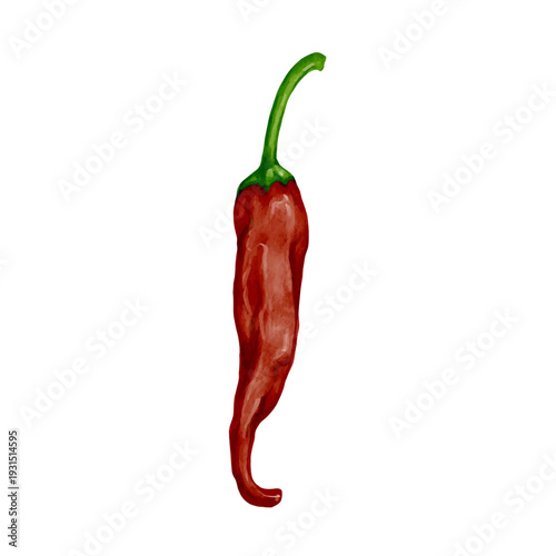 Ripe hot red chili pepper. Vector graphics.