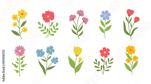 Abstract flower vector set with hand drawn delicate petals and leaves. Floral design elements, spring summer blossom collection, flat vector illustration isolated on transparent background.