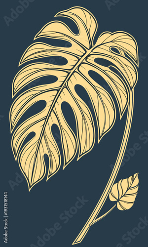 Monstera Deliciosa Leaf Botanical Illustration.