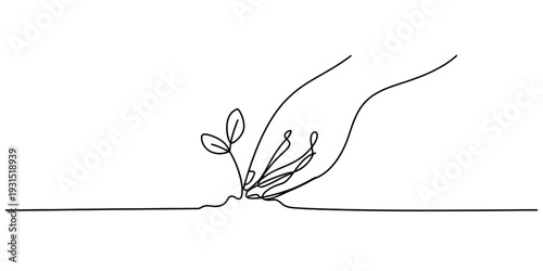 Hand Planting Small Seedling Growth And Sustainability Concept