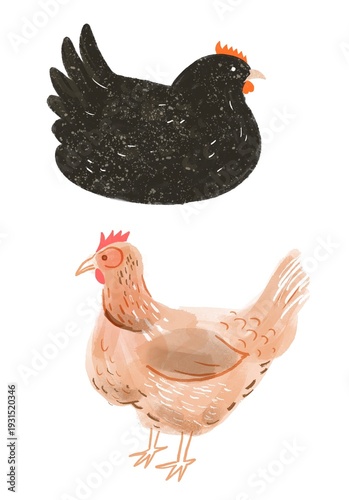 Illustrated Chicken