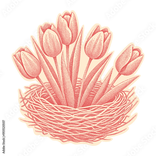 tulips in a bird nest, floral spring illustration in vintage halftone style