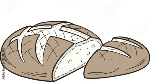 Sourdough bread loaf vector illustration featuring a freshly sliced steaming artisan boule with crusty texture and hand drawn style for bakery branding projects.