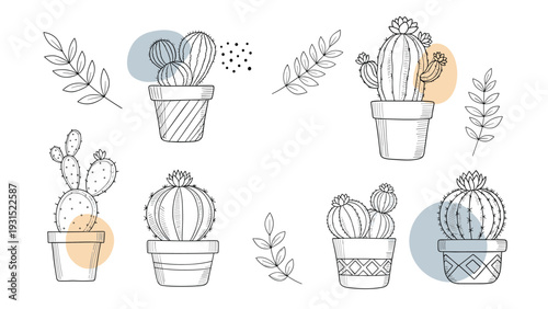Hand drawn cactus and succulent sketches in pots with decorative leaves and abstract shapes set on a clean white background.