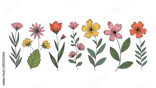 Collection of hand drawn garden flowers in various colors and shapes isolated on a clean white background for design.