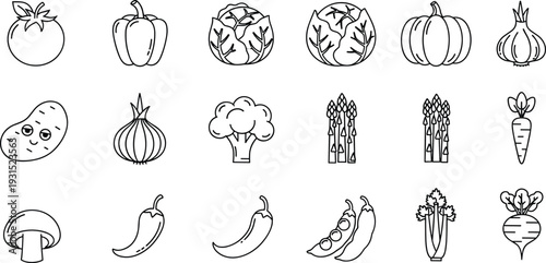 Fresh vegetable outline icon set, tomato pepper cabbage pumpkin onion potato broccoli asparagus carrot mushroom chili peas celery radish, black line vector illustration