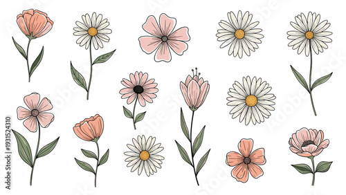 Comprehensive collection of hand drawn flowers in shades of pink and white with green leaves in a delicate botanical illustration style for floral art.