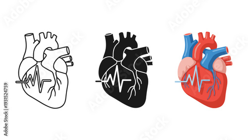 Anatomical heart illustrations in different colors and styles Vector
