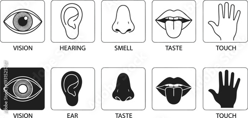 Five human senses icon set, vision hearing smell taste touch symbols, sensory perception illustration for education, medical learning, infographic, black and white vector