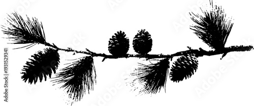High contrast pine cone silhouette in stencil style for nature design projects