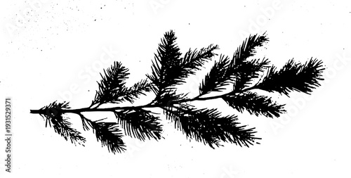 High contrast abstract pine needle bundle in stencil silhouette for design and decoration