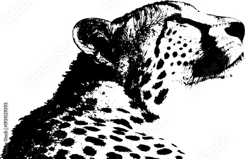 Leopard-inspired pizza crust design in high contrast stencil style for unique decoration