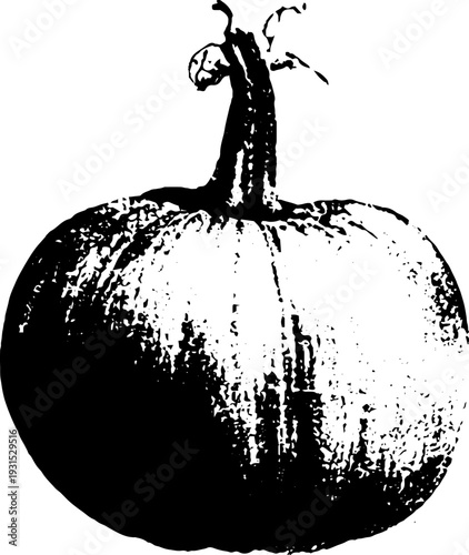 High contrast abstract pumpkin with stem scar in stencil style for harvest design