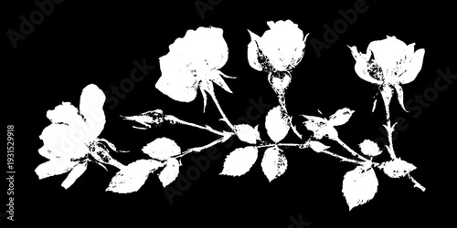 Abstract rose flower stencil in high contrast grunge style for creative design