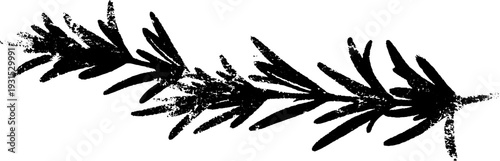 Abstract rosemary whorl in stencil style for creative design