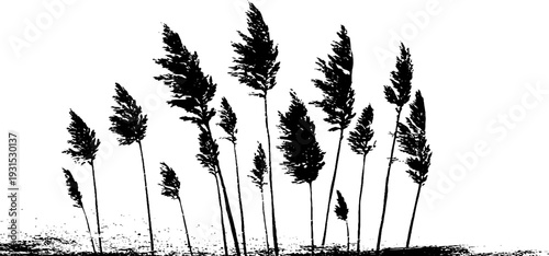 Seagrass blades stencil style abstract design for decor or print