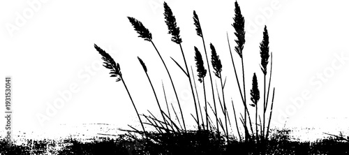 Abstract seagrass blades in grunge stencil style - high contrast nature design for creative projects