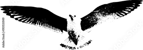 Abstract seagull wing arc in high contrast stencil style for design