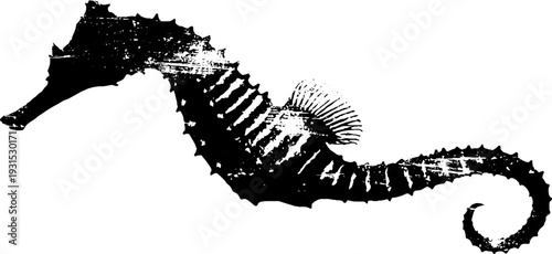 High contrast abstract seahorse with ring tail - stencil style design for art and decor