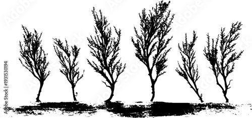 Abstract stencil silhouette of seaweed with air bladders for decorative design