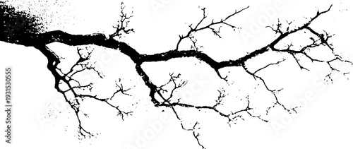 High contrast abstract of snow-covered branch for artistic design