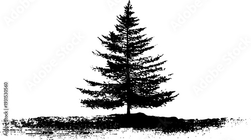 Snow covered pine tree silhouette in stencil style for winter design