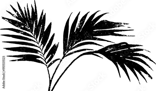High contrast palm leaf illustration with abstract texture for summer design