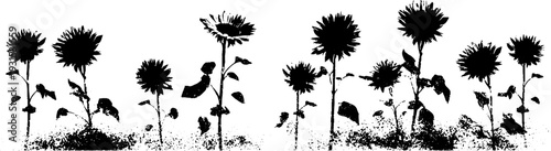 Sunflower field silhouette in high contrast stencil style for artistic design