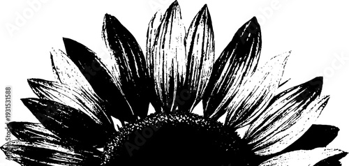 Abstract high contrast sunflower head stencil design for art prints and decor