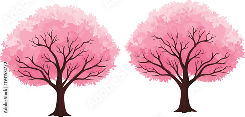 Pink cherry blossom trees illustration set with full blooming branches, isolated on white background for spring season design, romantic themes, and decorative projects