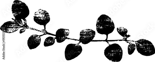 High contrast abstract thyme sprig design in stencil style for botanical art