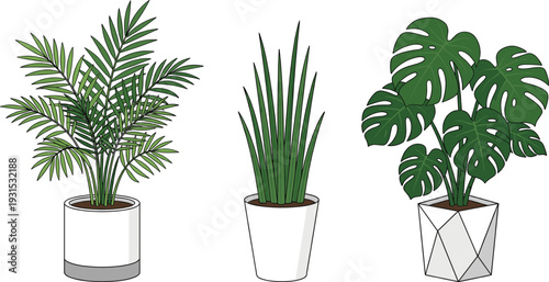 Indoor potted tropical plants vector set, palm snake plant monstera houseplants, modern home decor botanical illustration isolated