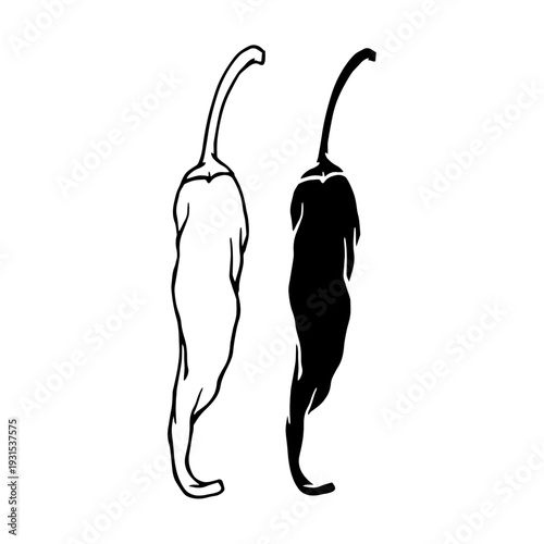Line sketch, stamp of hot chili pepper pods. Simple vegetable doodles. Vector graphics.
